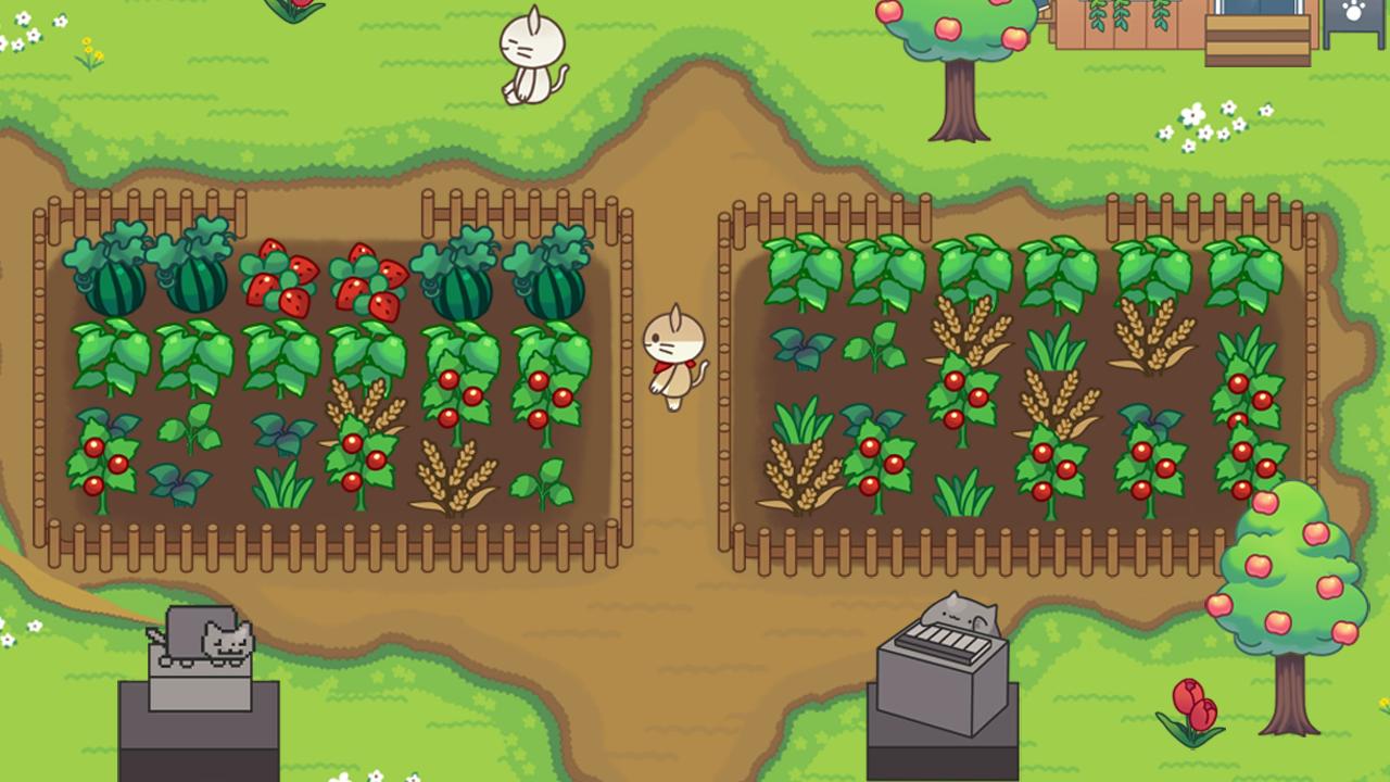 猫咪露营地内置菜单v2.23