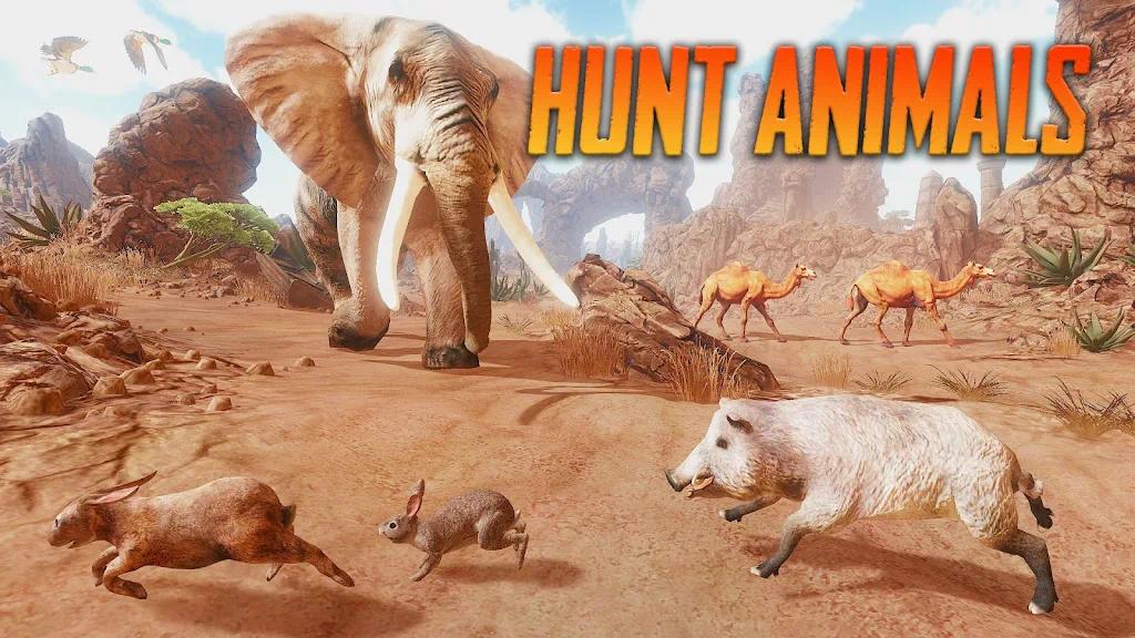 野猪动物模拟器(The Boar)v1.7