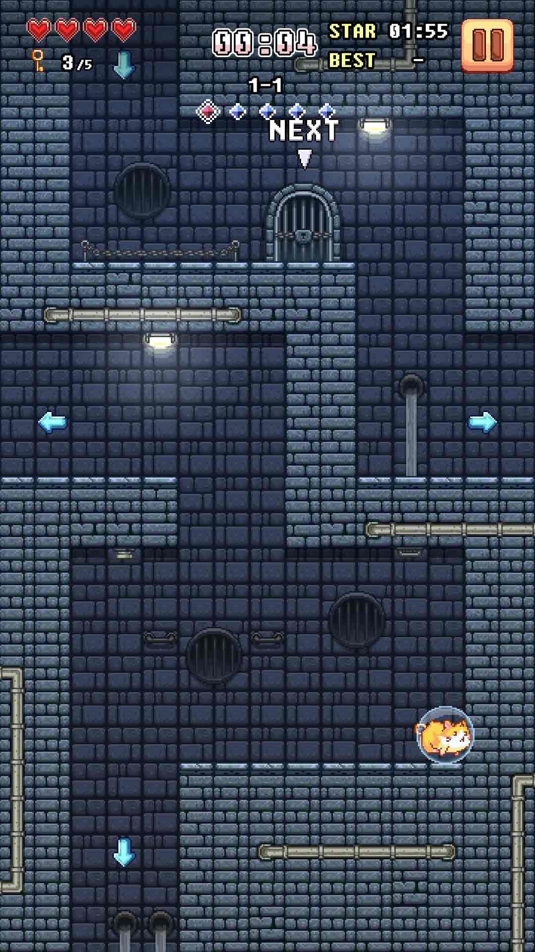 超级仓鼠球v1.1.13