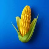 农业土地(Farm Land)