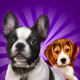 犬类模拟器3D(Dog Simulator 3D) - 推荐图片