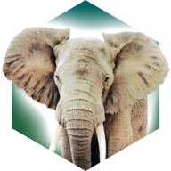 方舟动物园 - 推荐图片