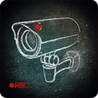 旁观者手机版(Beholder)