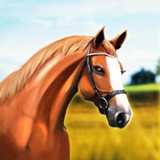 德比生活(Derby Life)