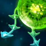 触手战争(Tentacle Wars)