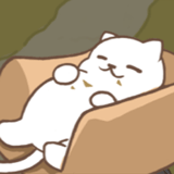 小猫铲屎官 - 推荐图片