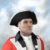 美国火枪2：英美对战3D(Muskets of America 2)