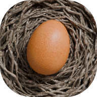 蛋之旅(Egg Journey)