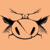 猪帝国(Pig Empire)