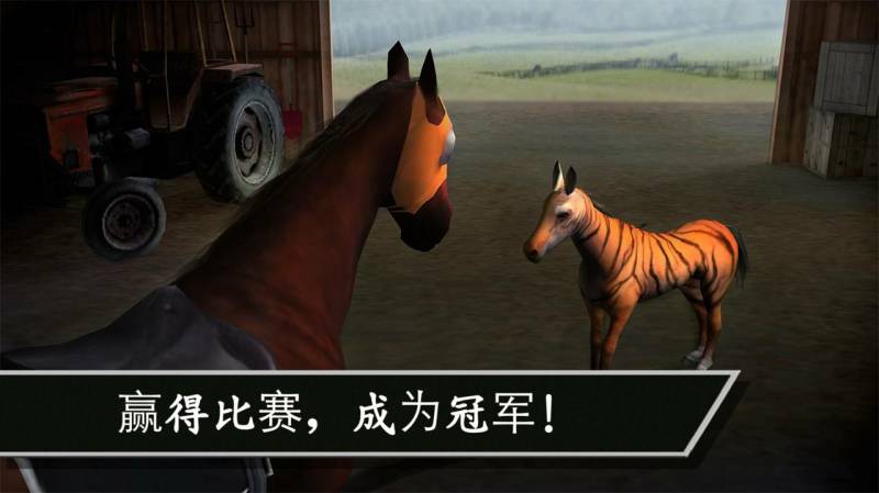 赛马:赢得杯赛挑战(Photo Finish)游戏截图2