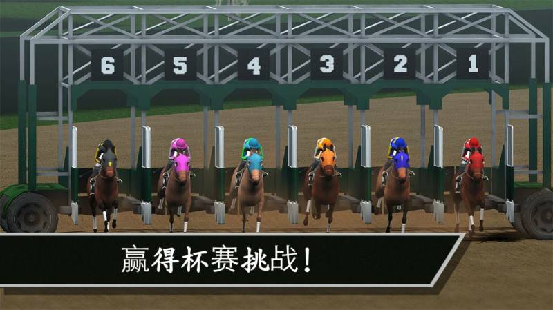 赛马:赢得杯赛挑战(Photo Finish)游戏截图4