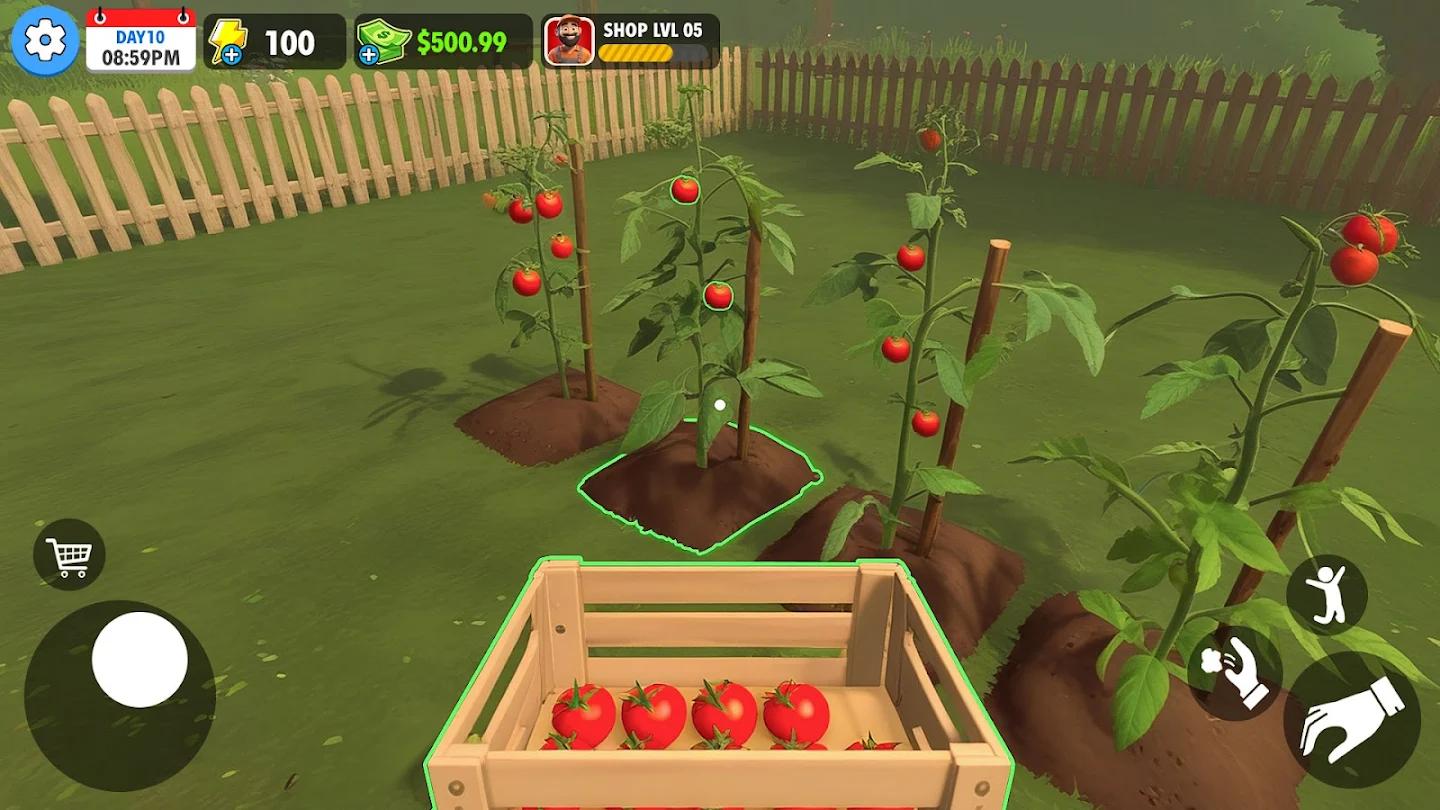 农场超市模拟器 截图5