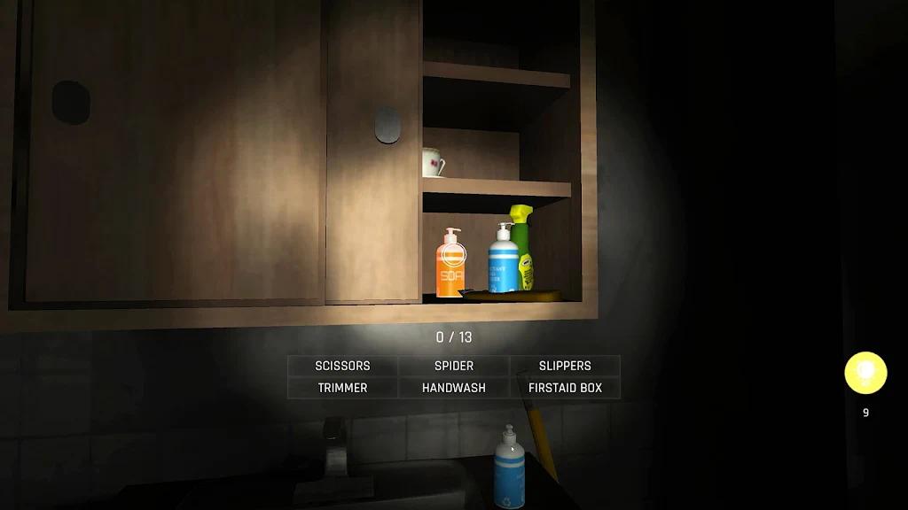 真相的阴影探险(Shadows of Truth)游戏截图5