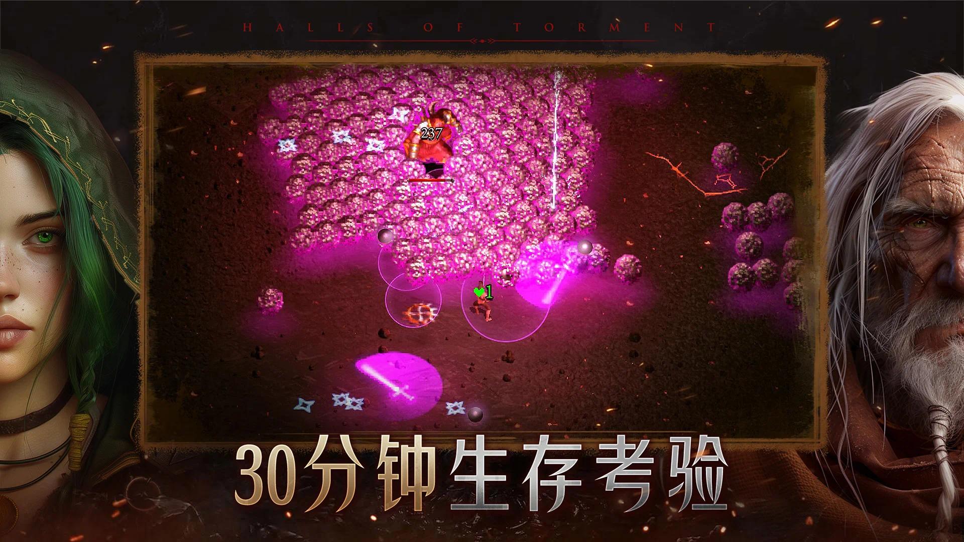 苦痛殿堂(Halls of Torment: Premium)游戏截图2