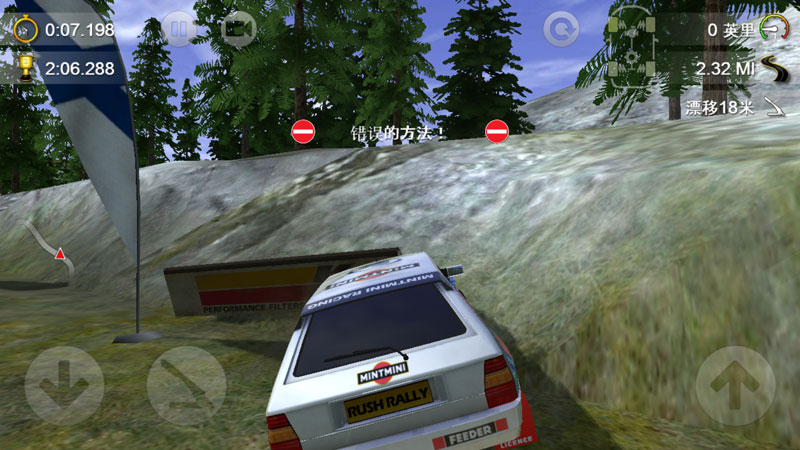 拉力竞速2(Rush Rally 2)游戏截图4