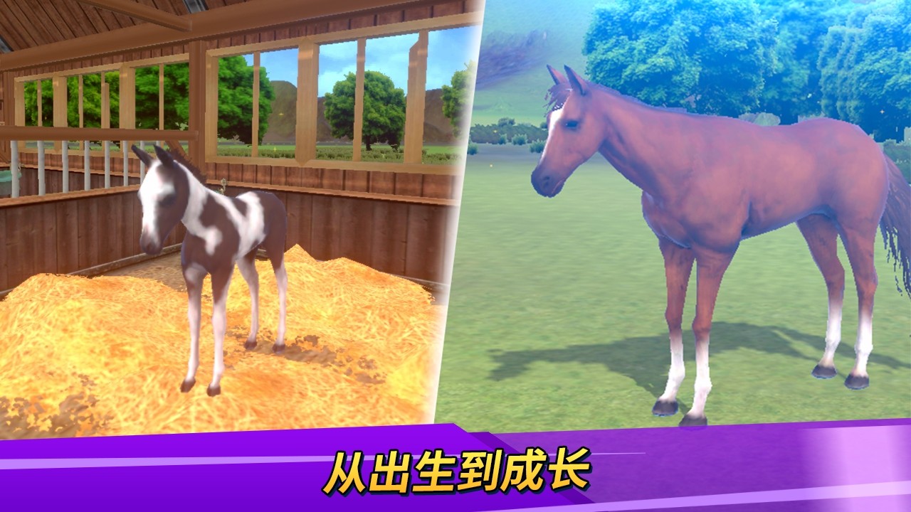 德比生活(Derby Life) 截图3