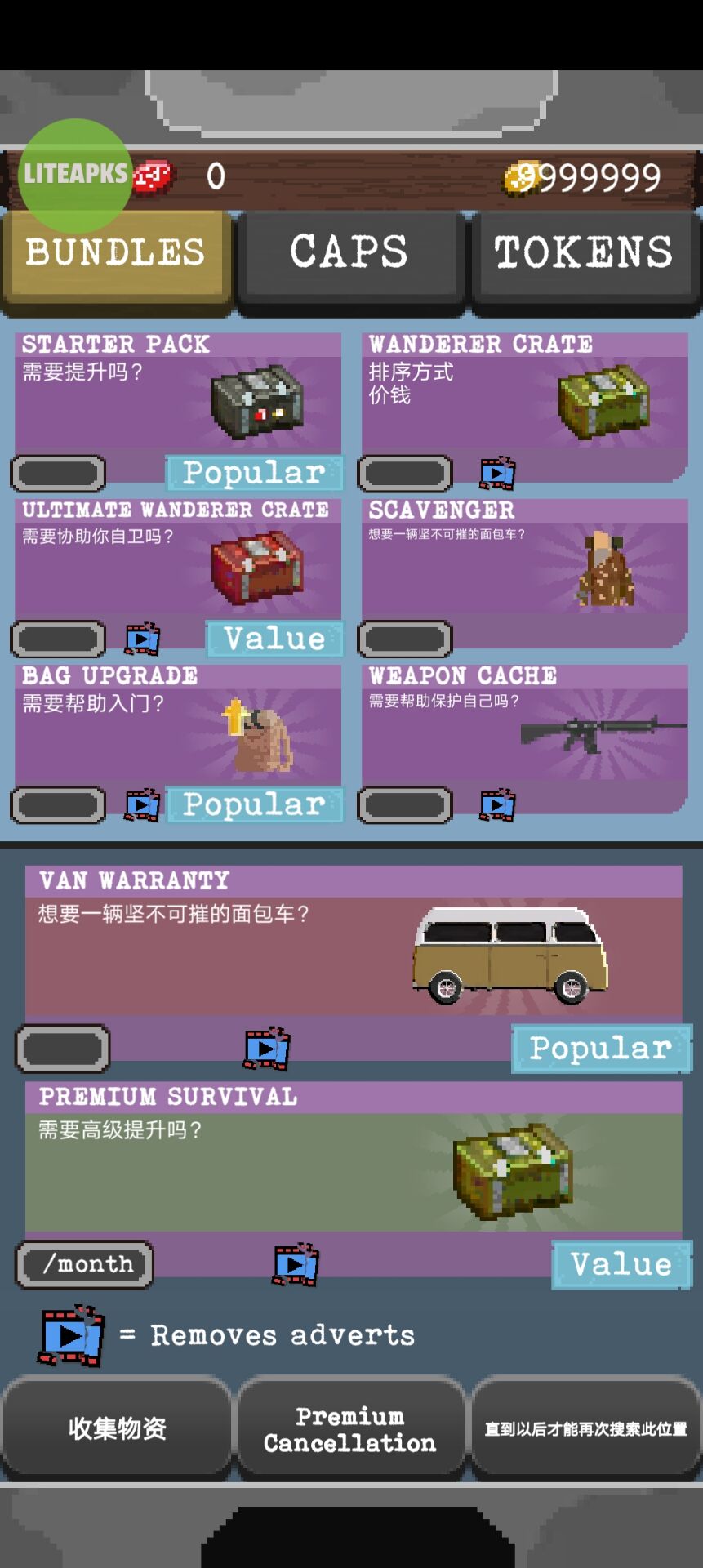 流浪者内置菜单(The Wanderer)游戏截图4