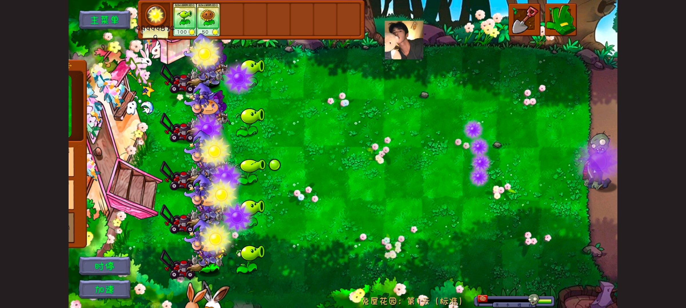 植物大战僵尸共生版(PVZGS)游戏截图3