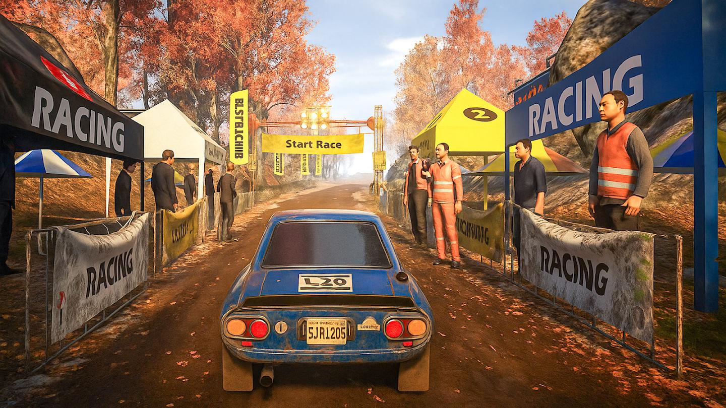 拉力赛专业版3.0游戏截图5